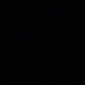 Meet your Posher, Laena